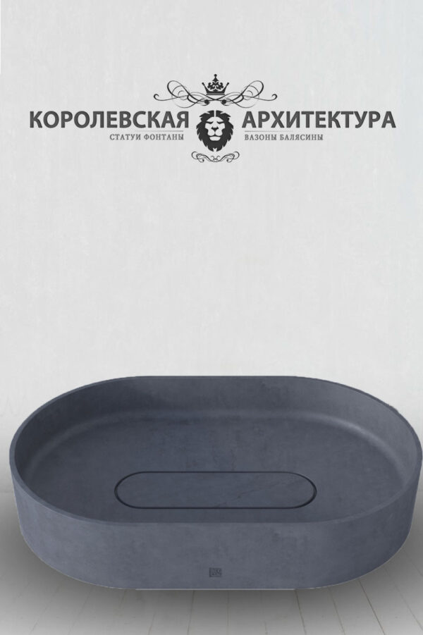красивые раковины