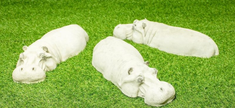 бегемоты на газоне
