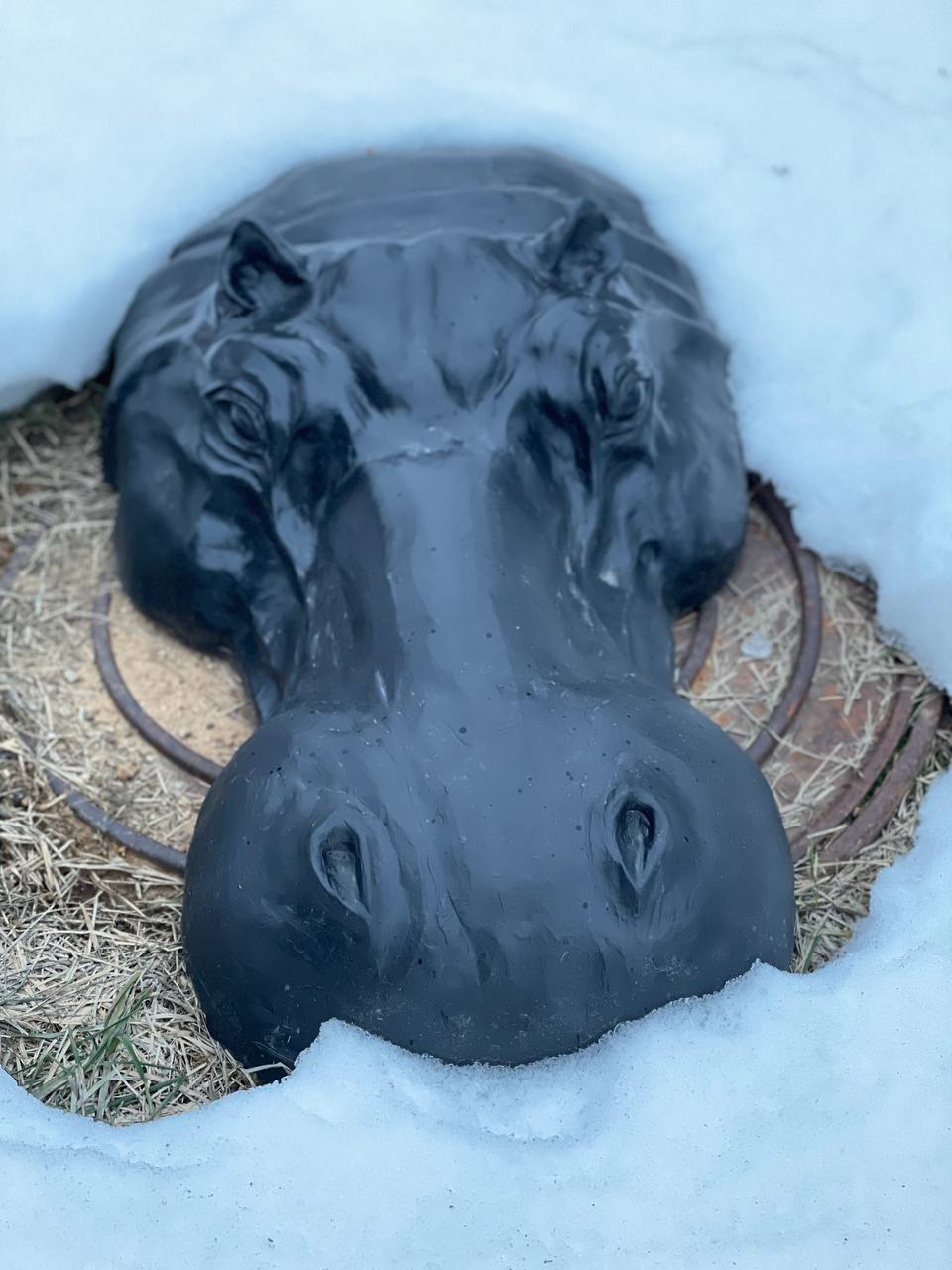 Скульптура Бегемот Папа (85 см) черный 4 Скульптура Бегемот Папа (85 см) черный — изображение 4